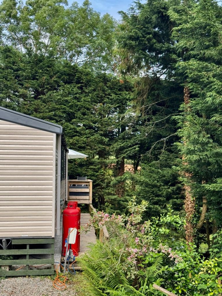 Swift Burgundy static caravan in mid Devon . VERY quiet location . — photo 2