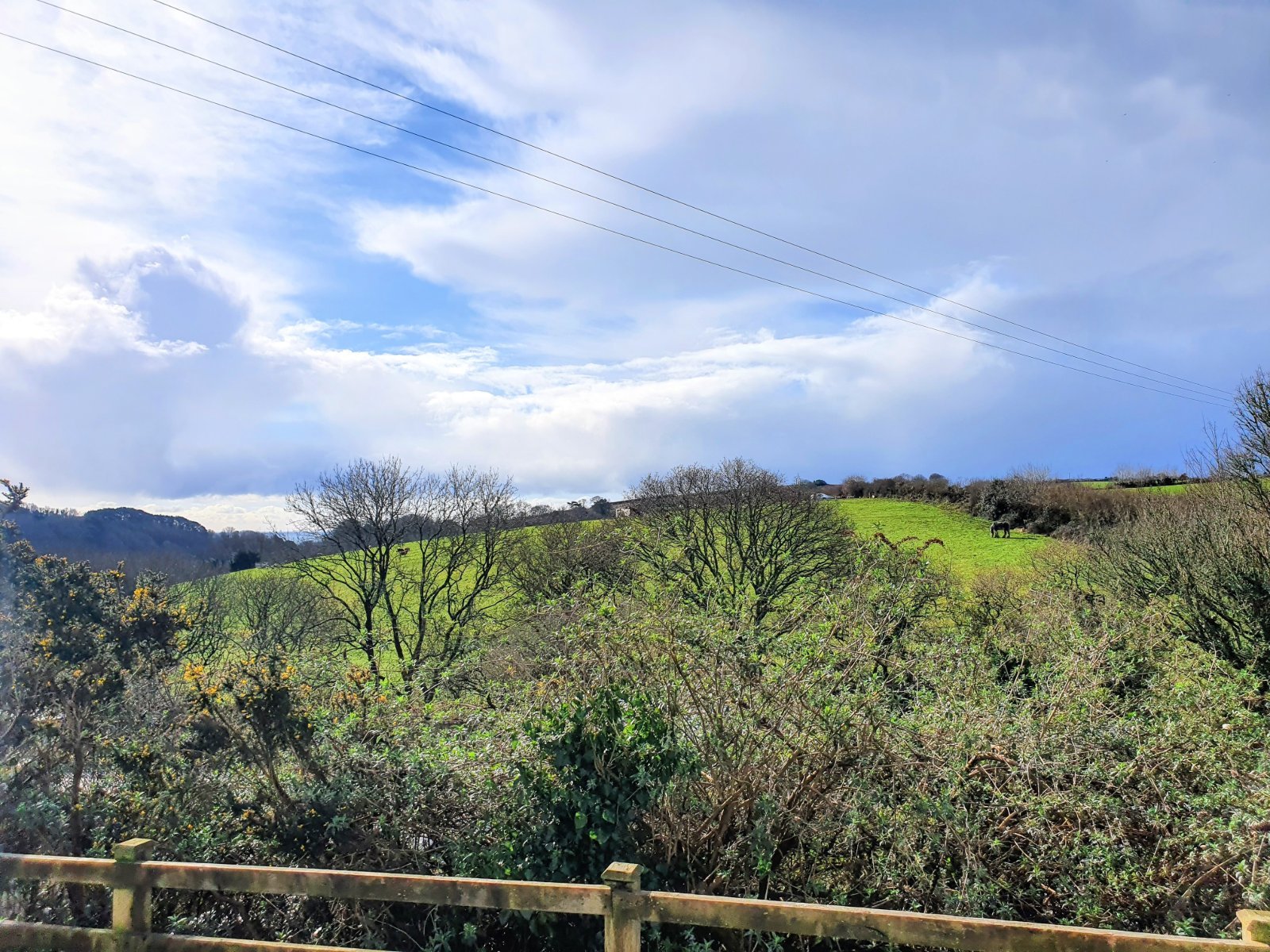 2016 Delta Resort Plus, 3 Bedrooms - Sited Looe Bay Holiday Park, Cornwall — photo 2